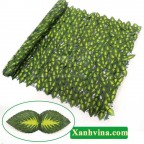 Hàng rào lá giả 